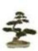 Άβαταρ μέλους